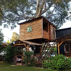 daidala-life.turkeyfethiyehotels.com/
